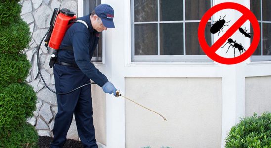 Mavişehir Karınca İlaçlama böcek ilaçlama ve haşere kontrolü — ilaclama-tr.com